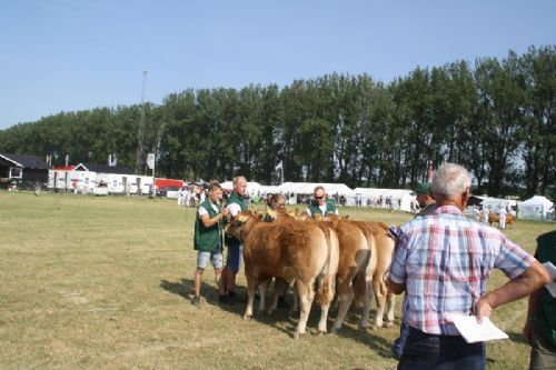 Sønderjyske Fællesskue i Aabenraa  - Kvier 12-14 mdr.: Skovlund Limousine v/ Søren L. Paulsen, Toftlund, 23 point. Skovlund Limousine v/ Søren L. Paulsen, Toftlund, 23 point og ærespræmie