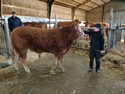 Åbent hus - Hos Baunebo Limousine d. 29/1 