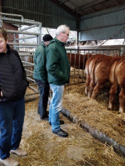 Åbent hus - Hos Baunebo Limousine d. 29/1 