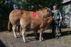 Ærespræmie-og vinderdyr - Birkely Julia – bedste ko 3-5 år – fra Jakob Ravn, Thorsø