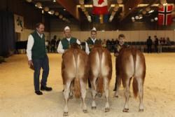 Agro Nord Kødkvæg - Kvier 6-8 mdr. Fløj og 23 point til Gandrup Juliet fra Lars Juellund. 