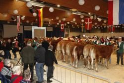 Agro Nord Kødkvæg - Oprangeringen af ærespræmiedyr.