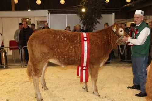 Agro Nord Kødkvæg - Kjeldgaard Iris fra Lise og Kirsten Levinsen. Tildelt 24 point og ærespræmie samt titlen Bedste Yngre Kvie.