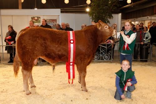 Agro Nord Kødkvæg - Kærsgaards Imperial fra Jesper Kragelund. Tildelt 24 point og ærespræmie samt titlen Bedste Yngre Tyr og Bedste Limousine Handyr.