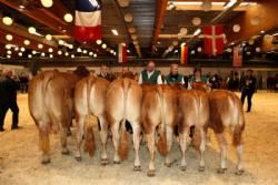 Agro Nord Kødkvæg - Besætningsgruppen fra Lars Juellund.