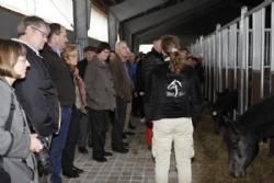 Arrangement for folkevalgte 2013 - Heste i løsdrift.