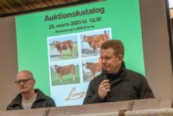 Auktion 2023 - Formand Søren Grunnet bød velkommen til avlsdyrsauktionen