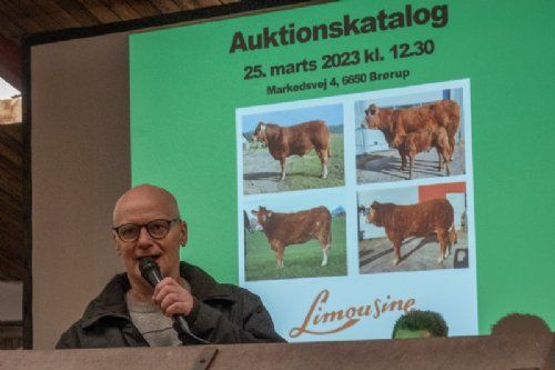 Auktion 2023 - Jan P Jensen læste auktionsreglerne op og beskrev løbende auktionsdyrene