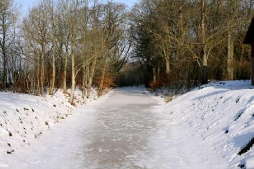 Auktionsdag 30. jan. - At det var koldt vidnede de frosne voldgrave om. Palstrup Hovedgaard er så vidt vides den eneste Herregård, der er tilbage i Danmark med dobbelt voldsted