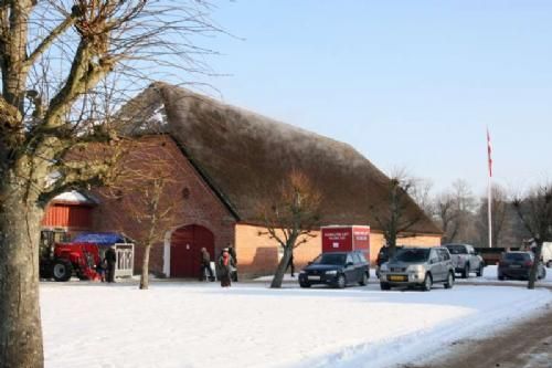 Auktionsdag 30. jan. - Det emmede i bogstavligste forstand af auktionsstemning i den gamle stråtægte lade, mens solen strålede udenfor