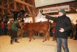 Auktionsdag 30. jan. - Jan Winum Povlsen i dagens anledning også ringmand