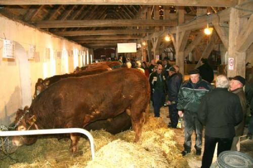 Auktionsdag 30. jan. - Mange kiggede interesseret nærmere på auktionsemnerne, mens der også var tid til en snak med folk man kendte