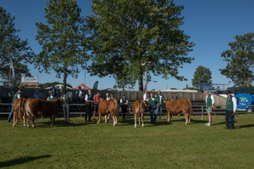 Bedømmelse torsdag - Det er torsdag morgen og bedømmelsen af de fremmødte limousiner starter. Som sædvanligt starter de små tyre ud.