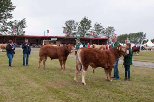 Bedømmelse - 12,13 Tyre 8-10 mdr. Fløj (tv) til Balløjgårdens Obelix P fra Flemming Pedersen, Børkop