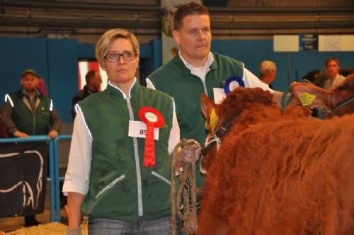 Bedømmelsen torsdag  - Kirsten Levinsen lytter til dommerens argumentation for bedømmelsen af dette hold