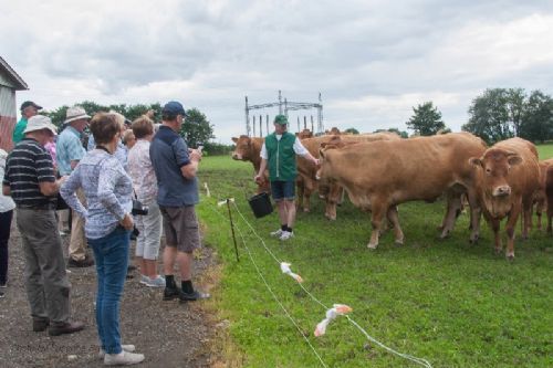 Besøg fra Australien - Jan kaldte køer og kalve hjem til stalden ved hjælp af en spandfuld foder – gæsterne morede sig højlydt og kaldte spandens indhold for ”The secret ingredient”