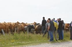 Besætningsbesøg Grønbjerg Limousine - billede 3