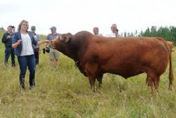 Canada 2017 - På marken hos Richmond Ranch