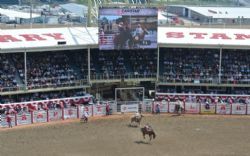 Canada 2017 - Rodeo. Hovedpræmier i de forskellige discipliner på 100.000 dollars!