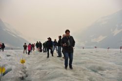 Canada 2017 - Columbia Icefield