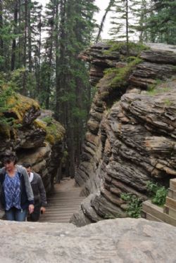 Canada 2017 - Athabasca Falls, kæmpe vandfald nær Jasper