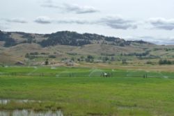 Canada 2017 - Markvanding. Lake Douglas Ranch