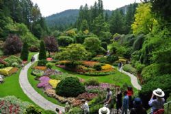 Canada 2017 - Butchers Garden