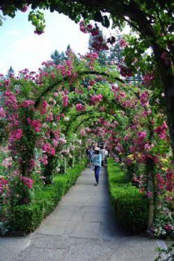 Canada 2017 - Butchers Garden