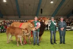 Championatkonkurrence - Bedste Hundyr og Bedste Handyr!