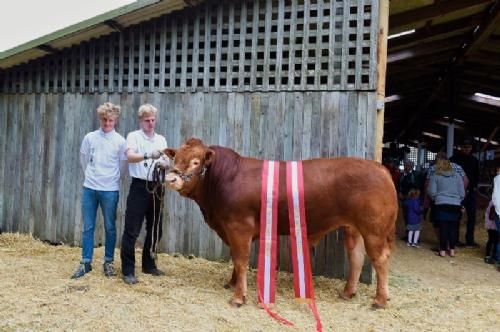 Det fynske dyrskue  - 24 point og ærespræmie, bedste yngre tyr, bedste handyr, og Interbreed vinder