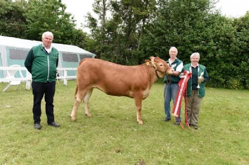 Det fynske dyrskue  - Halvæble Kristel. 23 point, bedste yngre kvie. 2 plads i Interbreed for hundyr under 18 måneder.