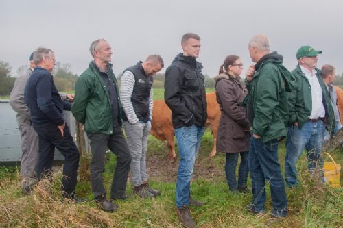 Efterårsmøde - Nu er deltagerne ved at være godt trætte efter at have snakket limousine i over et døgn