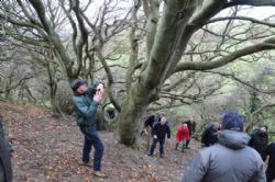 Efterårsmødet 2018 - Stedet er eminent til udflugt med ungerne - gode klatretræer