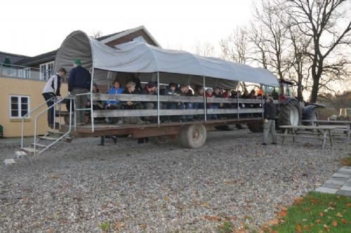 Efterårsmødet 2011 - Én af efterårsmødets store attraktioner var Ditlevsdals Bisonfarm. Vi gik om bord i stedets ”prærievogne”.