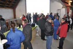 Efterårsmødet 2011 - Over 80 Limousinefolk mødte op fra morgenstunden her i det Fynske efterår
