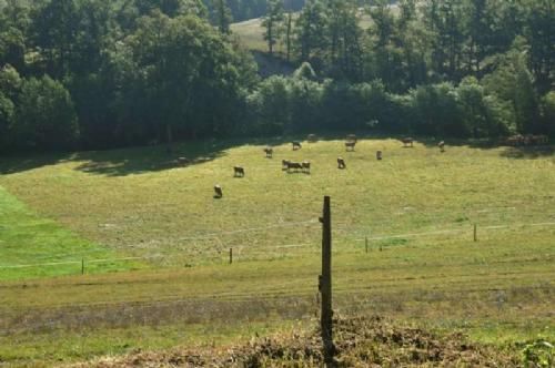 Frankrigstur Limoges - Ikke bare oplever man at se mange Limousiner i Frankrig, naturen er en oplevelse i sig selv.