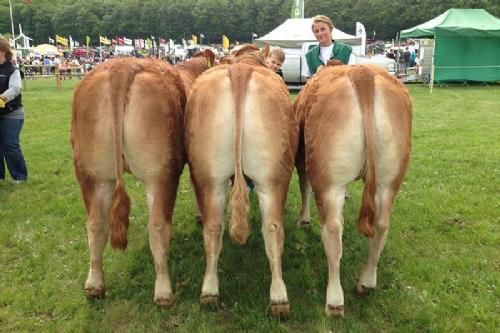 Gl. Estrup Messen 2013 - Gl. Estrup Prisen til Bedste Besætningsgruppe fra Birkely Limousine v. Jakob Ravn.