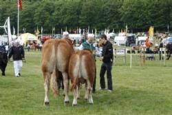 Gl. Estrup Messen 2013 - To tyre i hvert sit hold begge fra Freddie Christiansen.