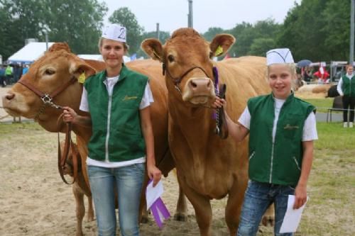 Hobro Dyrskue - To dygtige piger: Line vandt mønstringskonkurrence for juniorer skarpt forfulgt af Mille Boll-Kragelund.