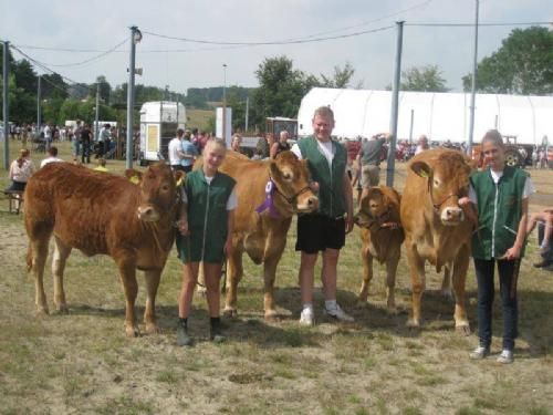 Hobro Dyrskue 2013 - De tre Limousine deltagere. Line vandt under 18 og Troels vandt samlet over alle. Mille blev en flot nummer to.