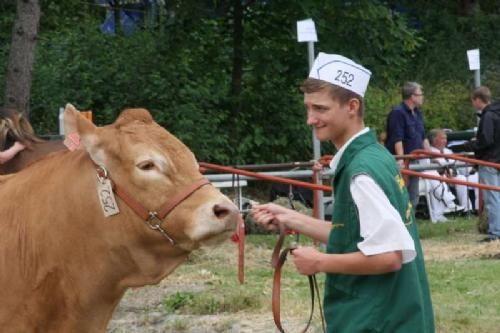 Hobro Dyrskue - Mønstringskonkurrencen havde seks unge deltagere, heriblandt tre Limousinefolk - her er det Kasper juellund