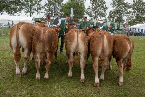 Holdbilleder - Tyre 8-10 mdr. Fløjvinder blev Damgaard Taurus fra Damgaard Limousine, Juelsminde