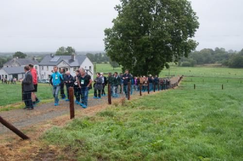 ILC verdenskongres i Irland 20.-28. august 2016  - Irland er kendt som ”Den grønne ø” – alle steder stod græsset grønt og saftigt