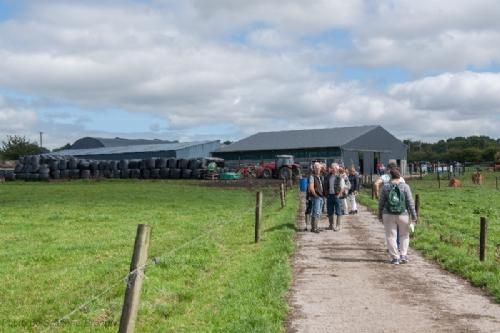 ILC verdenskongres i Irland 20.-28. august 2016  - Drummin Herd er en gård med både malkekvæg og limousiner. Der er ca. 10 limousinekøer af meget høj kvalitet. Der foretages ægtransplantationer.