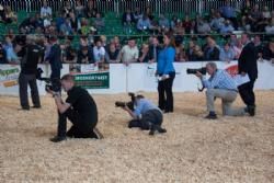 ILC verdenskongres i Irland 20.-28. august 2016  - Meget stor interesse for at fotografere bedømmelsen af limousinerne