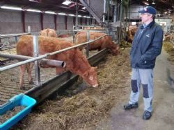 Jens Aage Skipper - Køerne og Jens Aage Skipper