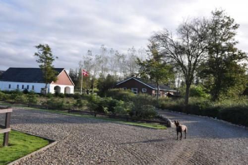 Jyllandstur 2011 - Traditionen tro indtog område ØST et område i Jylland her i efteråret. De 30 deltagere startede hos formanden Søren Grunnet, hvor hunden Bailey er den første til at byde os velkommen.