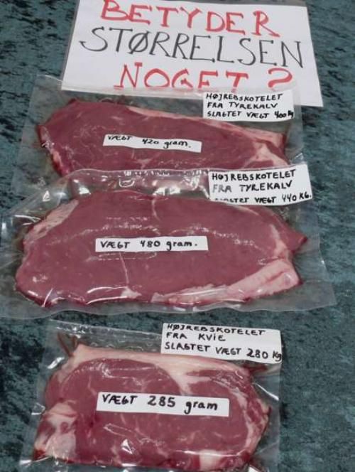 Kødkvægets Dag - Mange blev klogere på, at kreaturets slagtestørrelse betyder noget for kødet, da Marian og Svend Engelst holdt Åbent Hus i forbindelse med Kødkvægets Dag 8. maj 2010