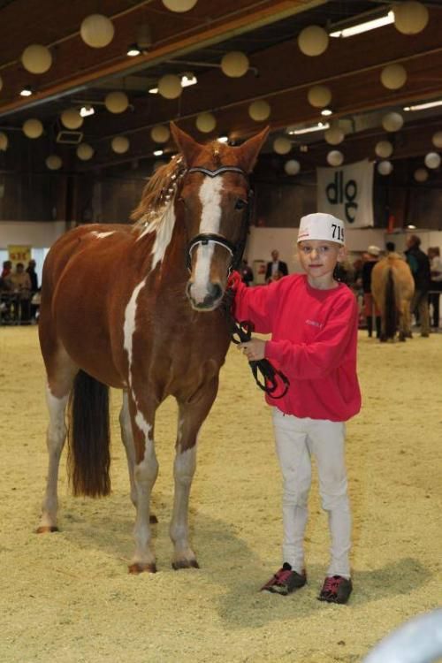 Kimbrerskuet 2013 - ...og børnedyrskuet blev også præsenteret. Denne lille pige viste stolt sin pony frem for fotografen.