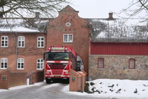 Klargøring 29. jan. - De første Limousiner ankommer. Portåbningen er ikke stor nok til at en moderne dyretransport kan komme under, så alle dyr må omlæsses til en kreaturvogn inden de køres videre ind på den store herregård